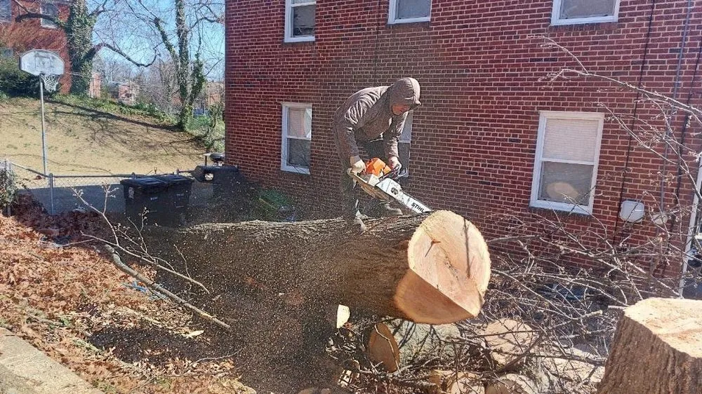 Custom lawn care service in New Carrollton, MD by Herrera & Sons Landscaping