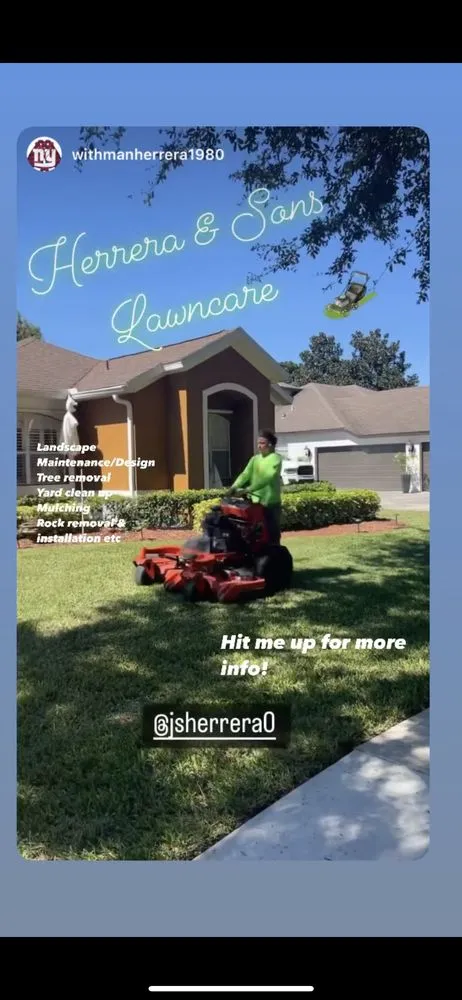 Local yard cleanup service experts serving Orlando, FL - Herrera & Sons Lawn Care