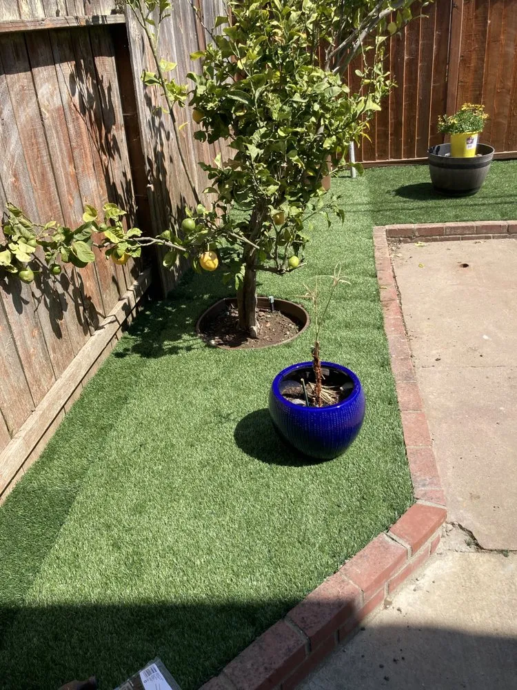 Professional lawn care service in Daly City, CA by Herrera Gardens