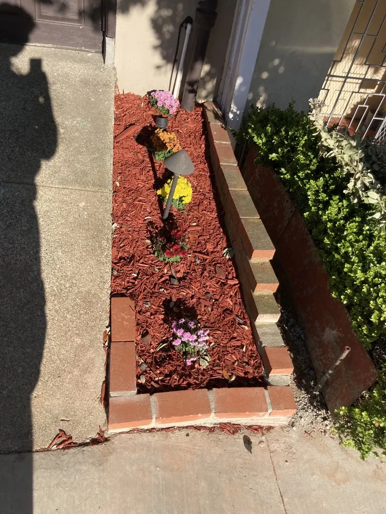Affordable yard maintenance in Daly City, CA by Herrera Gardens