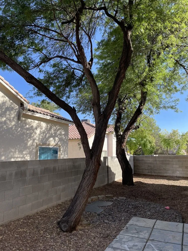 Custom yard maintenance experts serving Las Vegas, NV - Herrera Landscape