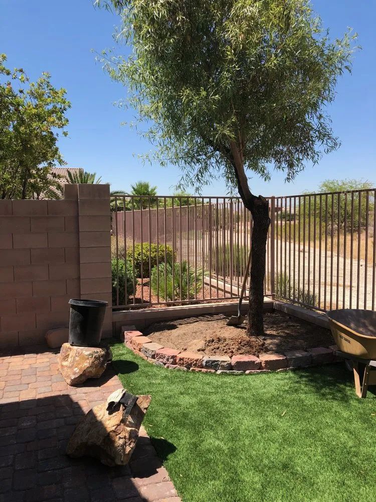 Affordable residential landscaping for year-round maintenance across Las Vegas, NV - Herrera Landscape
