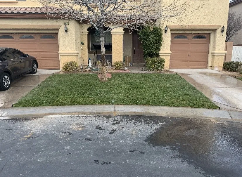 Reliable lawn care service in Las Vegas, NV - Herrera Landscape