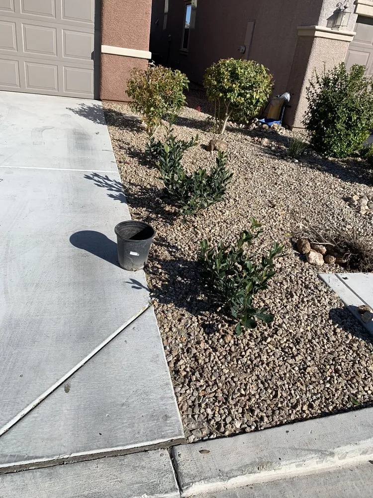 Affordable yard maintenance in Las Vegas, NV - Herrera Landscape
