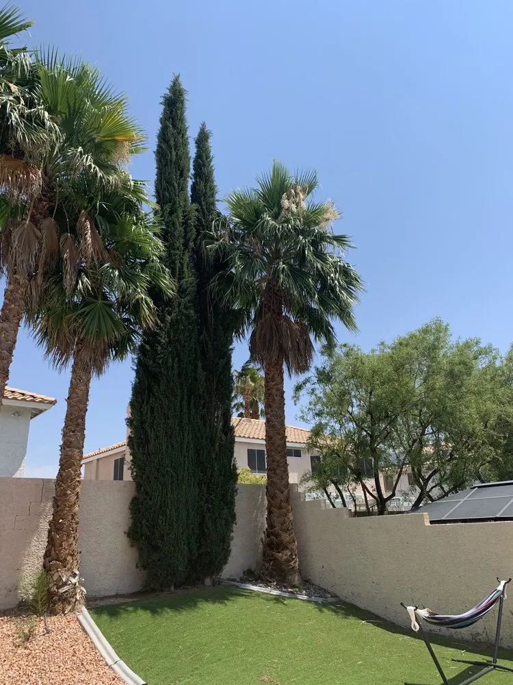 Trusted landscape design in Las Vegas, NV - Herrera Landscape