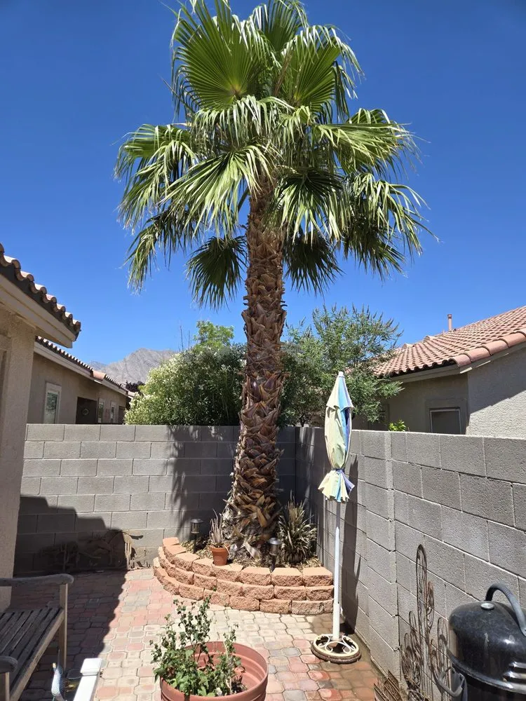 Reliable landscape design experts serving Las Vegas, NV - Herrera Landscape