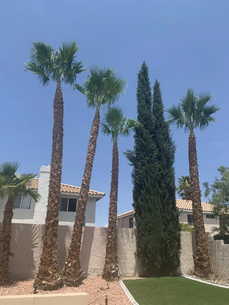 Expert landscape installation experts serving Las Vegas, NV - Herrera Landscape