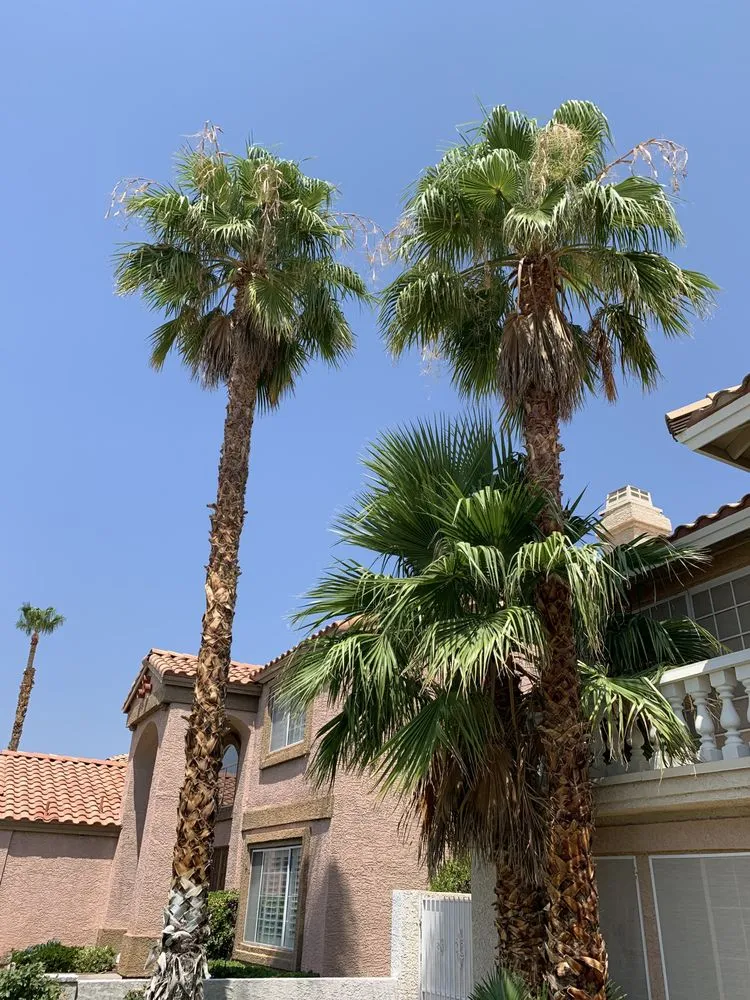 Trusted garden landscaping in Las Vegas, NV - Herrera Landscape