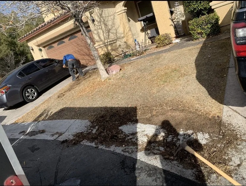Professional yard maintenance for outdoor upgrades in Las Vegas, NV by Herrera Landscape