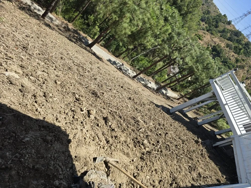 Top-rated lawn care service for residential properties in Pomona, CA by Herrera Landscaping and Tree Services