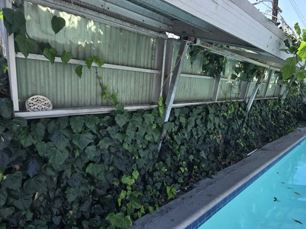 Expert yard maintenance experts serving Pomona, CA - Herrera Landscaping and Tree Services