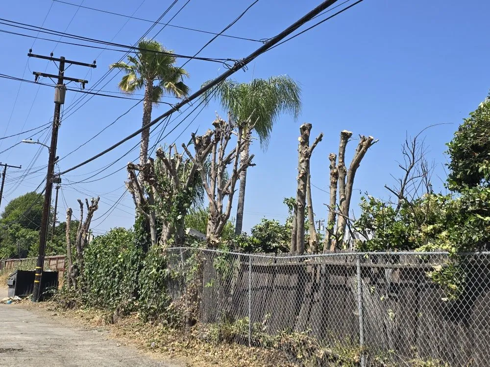 Expert outdoor landscaping with custom design in Pomona, CA by Herrera Landscaping and Tree Services