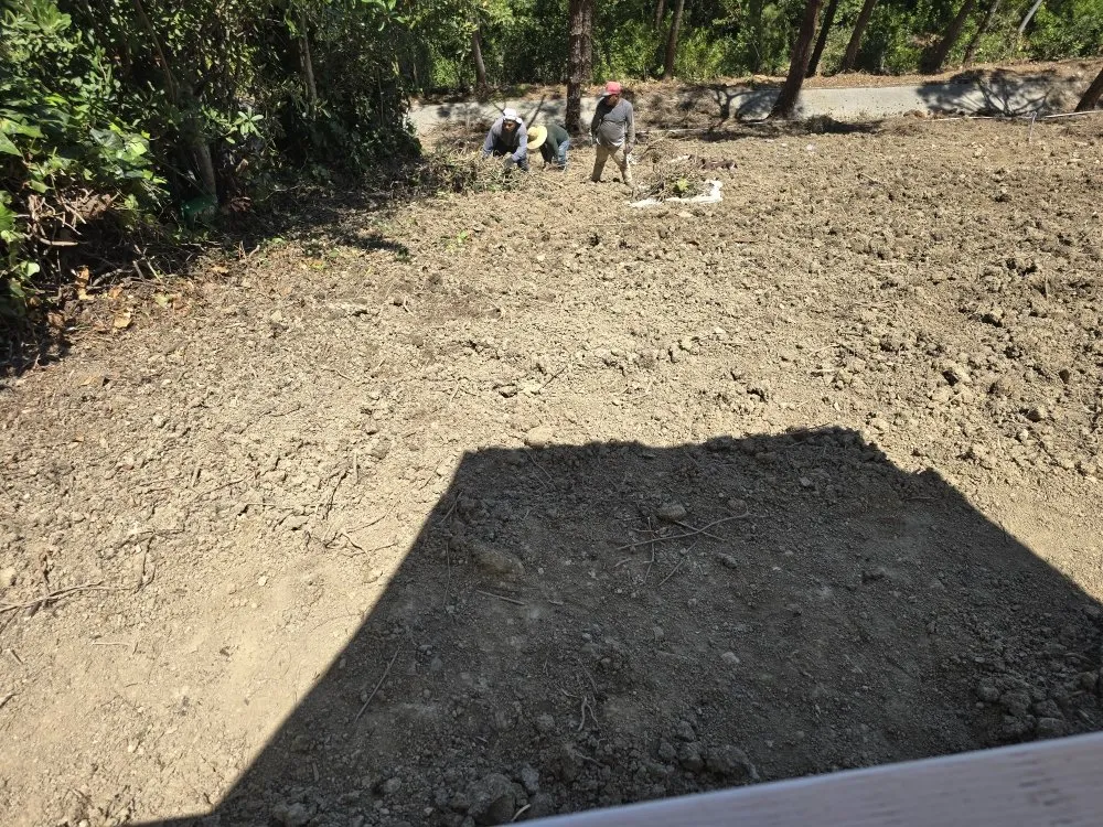 Trusted landscaping services near you in Pomona, CA by Herrera Landscaping and Tree Services