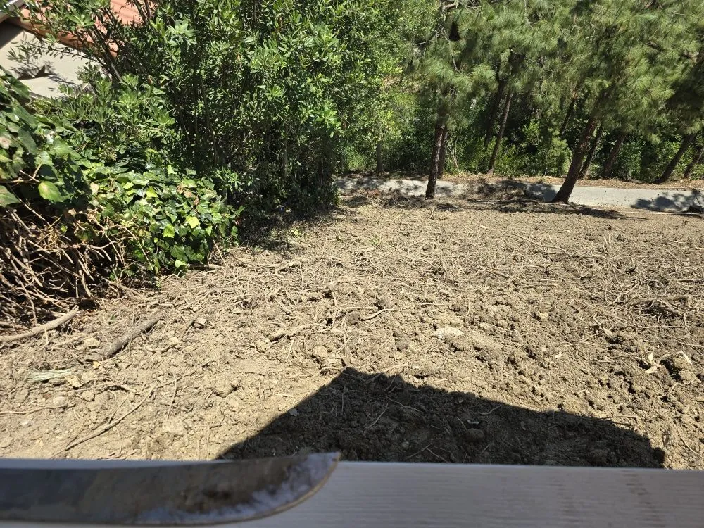 Local garden landscaping experts serving Pomona, CA - Herrera Landscaping and Tree Services