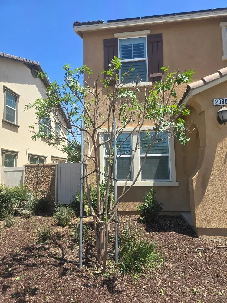 Affordable landscaping services in Pomona, CA - Herrera Landscaping and Tree Services