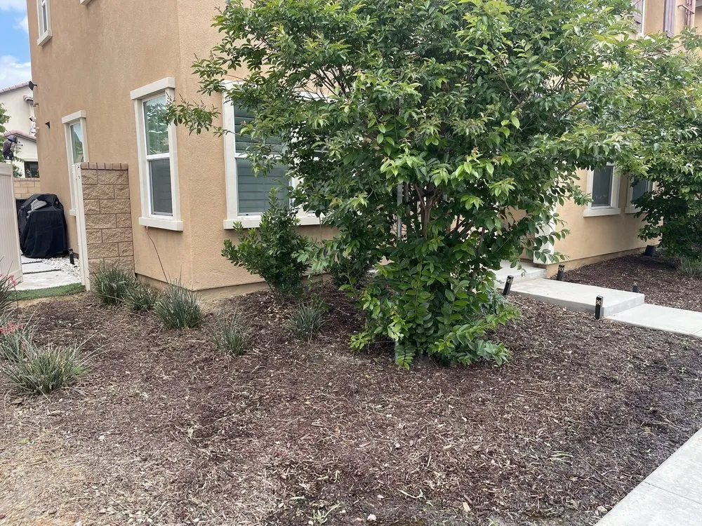 Local yard maintenance in Pomona, CA by Herrera Landscaping and Tree Services
