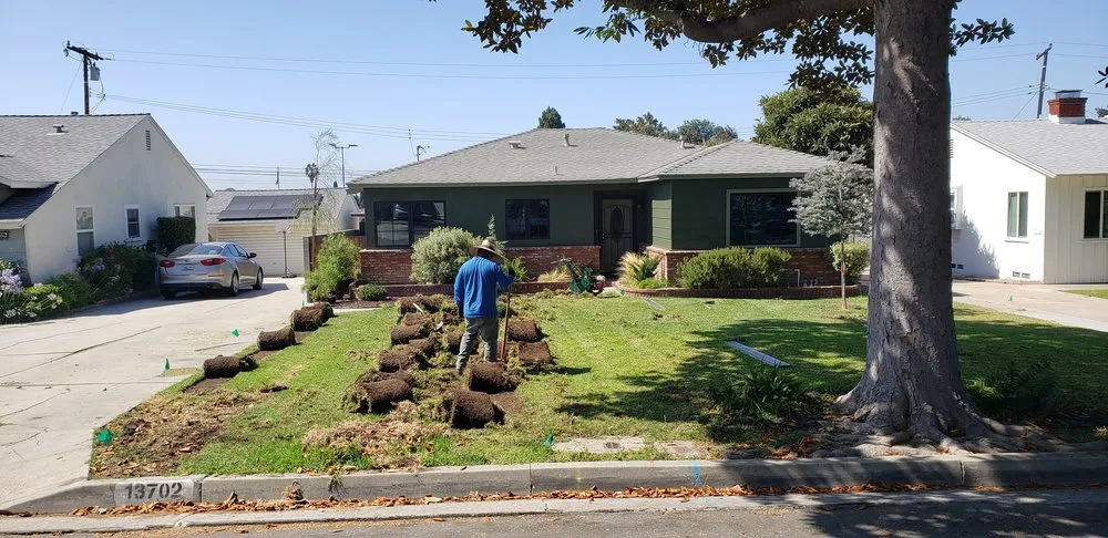 Local yard cleanup service in Santa Fe Springs, CA - Herrera Lawn & Tree Maintenance
