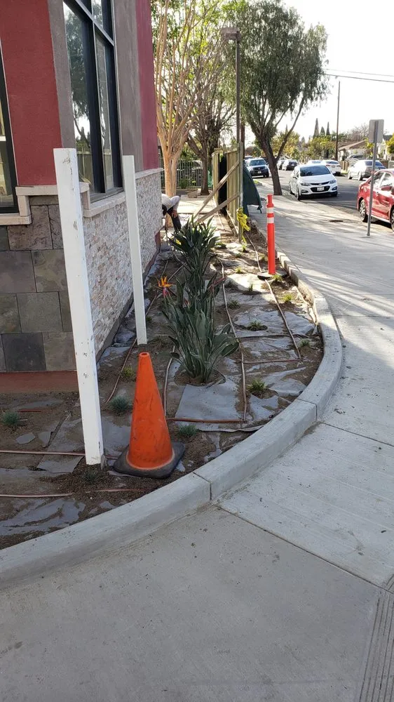 Custom yard cleanup service in Santa Fe Springs, CA - Herrera Lawn & Tree Maintenance