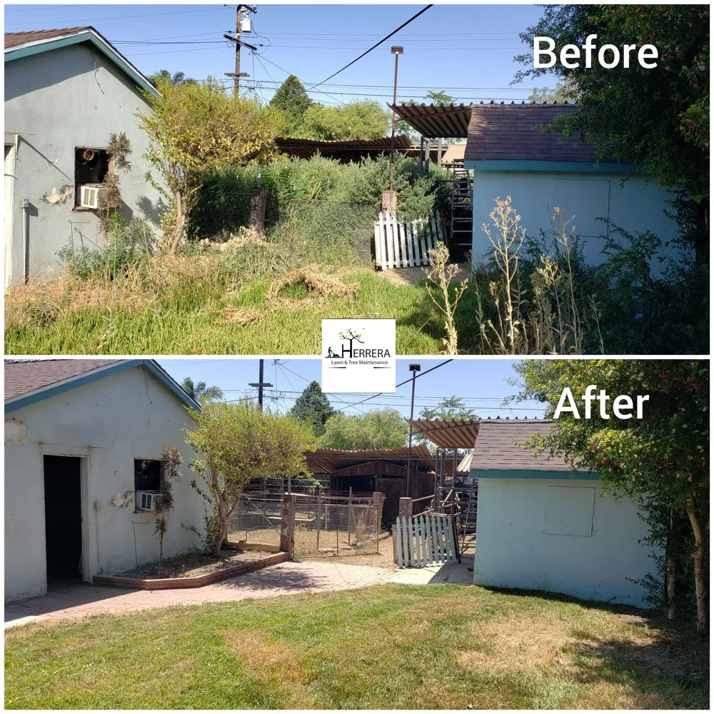 Expert residential landscaping in Santa Fe Springs, CA by Herrera Lawn & Tree Maintenance