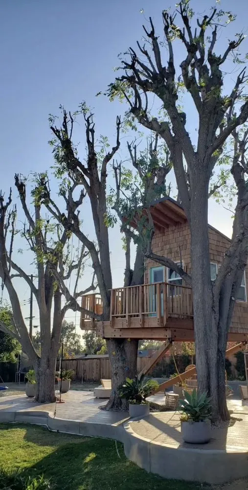 Local garden landscaping in Santa Fe Springs, CA - Herrera Lawn & Tree Maintenance