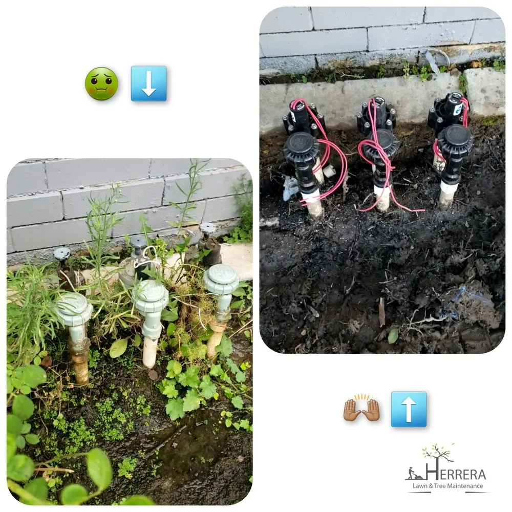 Trusted yard maintenance in Santa Fe Springs, CA by Herrera Lawn & Tree Maintenance