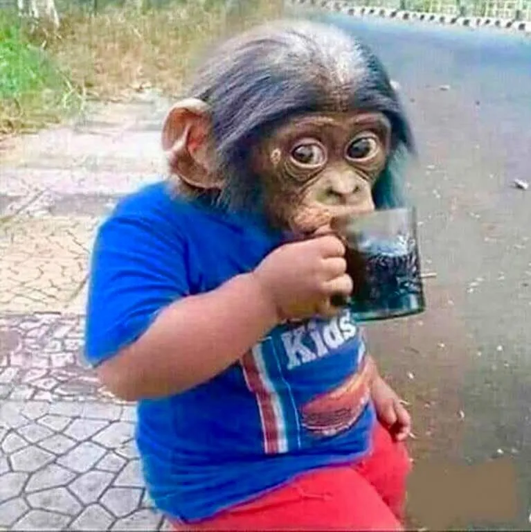 Expert residential landscaping in Oklahoma City, OK by Herrera Painting & Lawn Service