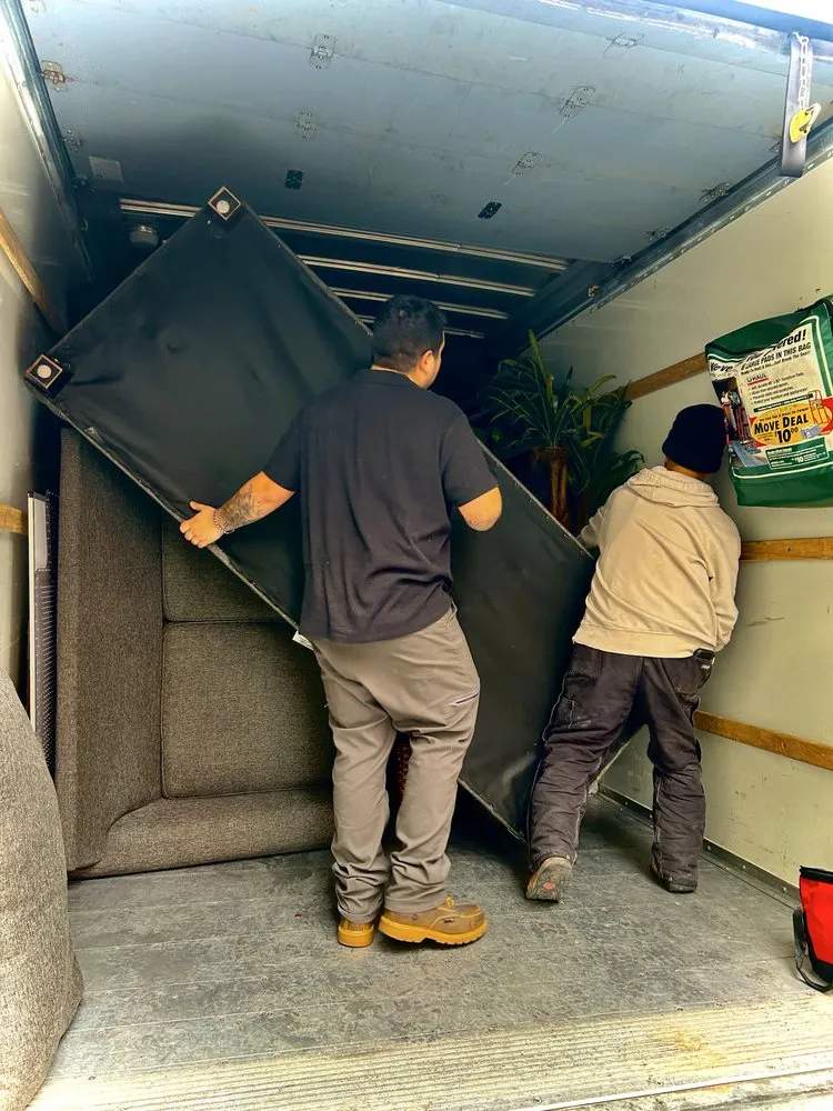 Trusted yard cleanup service for outdoor upgrades across Rio Rancho, NM - Herrera Services