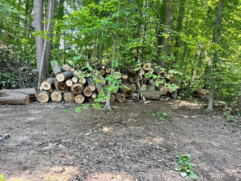 Reliable lawn mowing service in Gaithersburg, MD by Herrera Tree Services and Landscaping