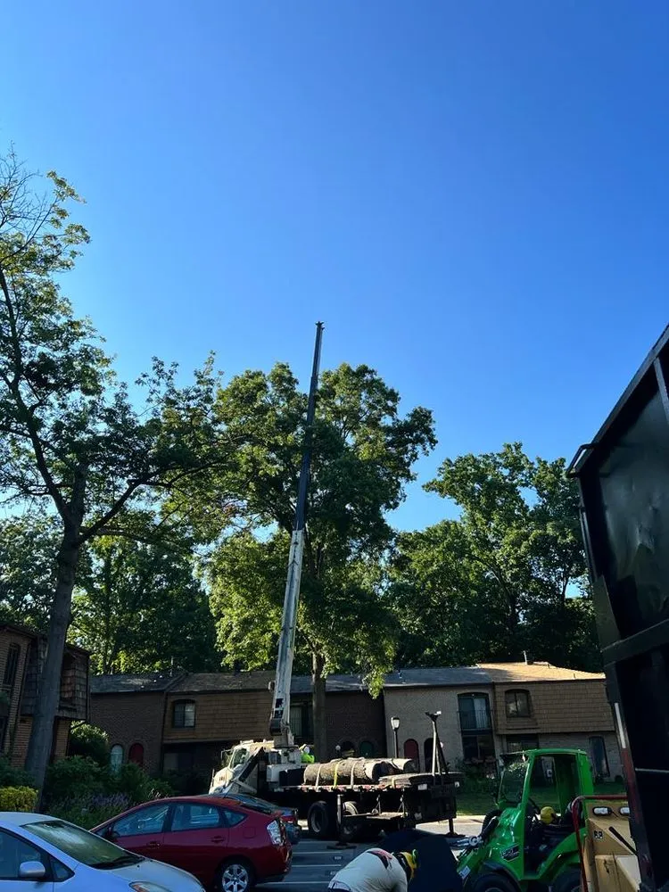 Expert garden landscaping in Gaithersburg, MD by Herrera Tree Services and Landscaping