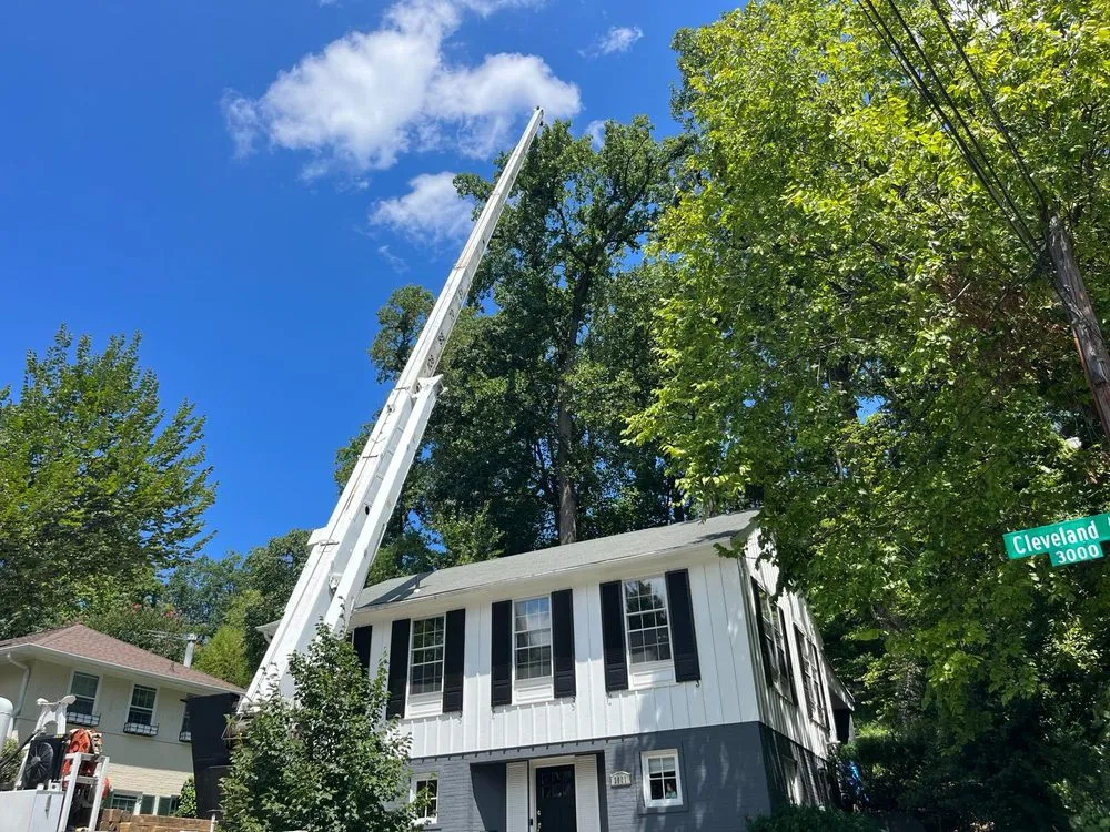 Expert residential landscaping in Gaithersburg, MD by Herrera Tree Services and Landscaping