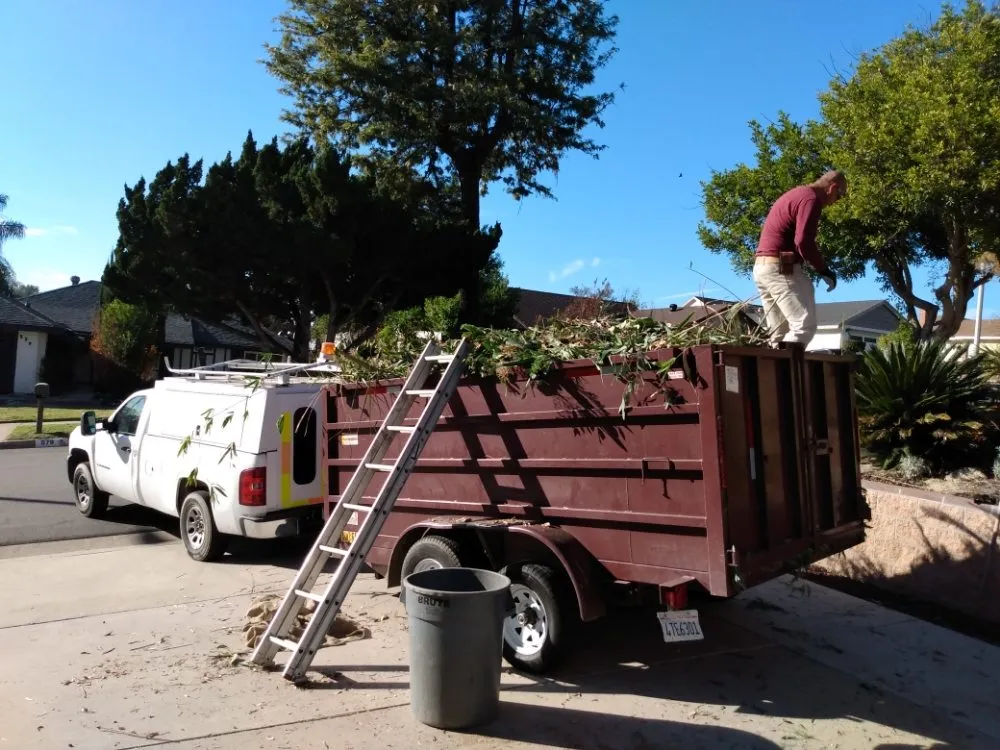 Local yard maintenance in San Francisco, CA - Herrera Tree Services