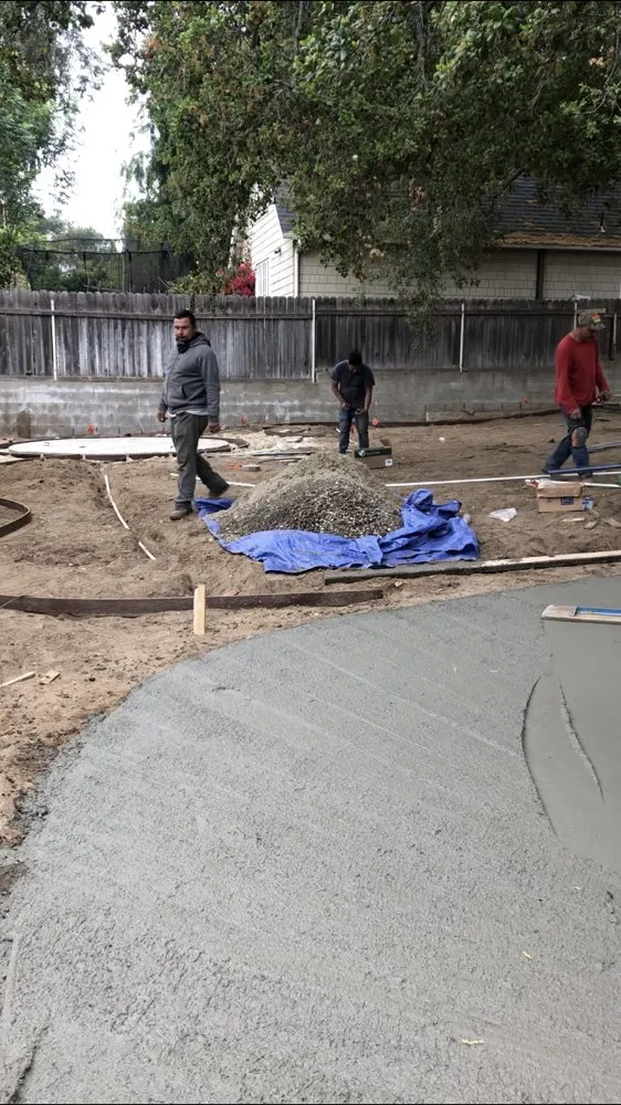 Expert yard cleanup service in San Francisco, CA by Herrera Tree Services