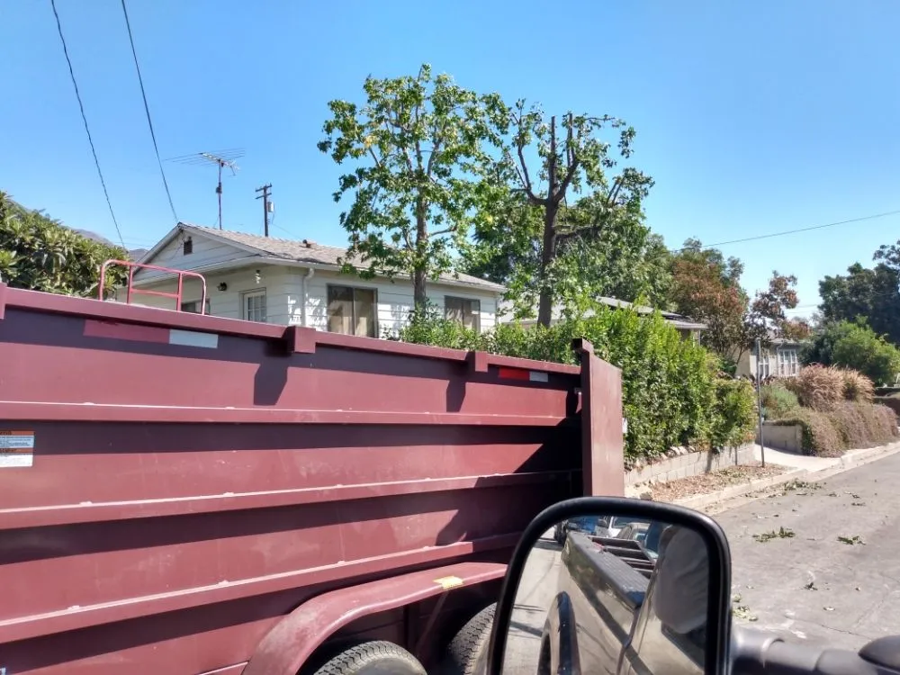 Top-rated yard maintenance for homes across San Francisco, CA - Herrera Tree Services