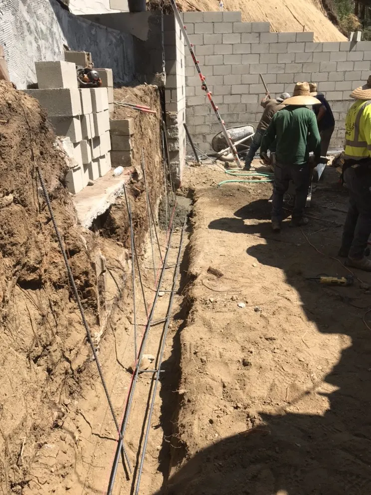 Professional lawn care service experts serving San Francisco, CA - Herrera Tree Services