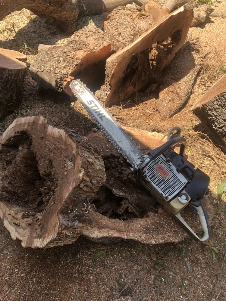 Affordable landscape design for outdoor upgrades across San Francisco, CA - Herrera Tree Services