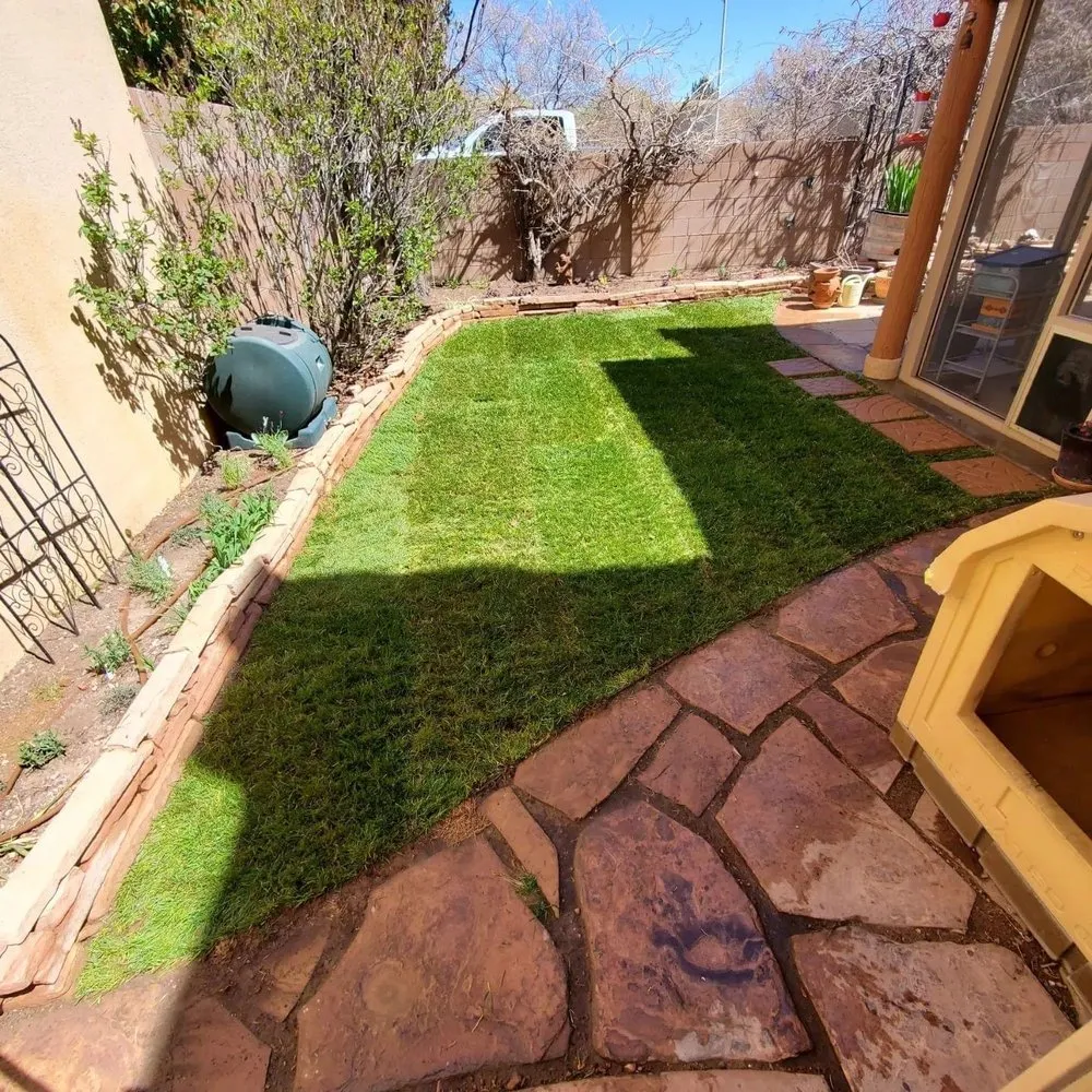 Reliable lawn care service experts serving Los Ranchos de Albuquerque, NM - Herrera's Above & Beyond Maintenance