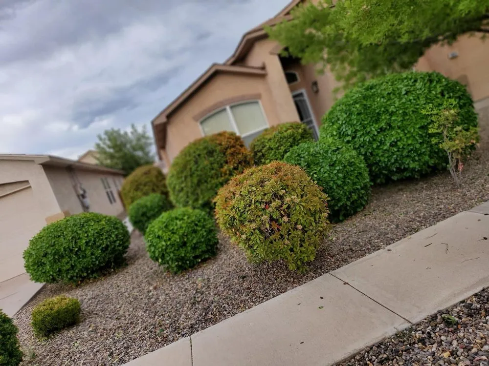 Custom landscaping services in Los Ranchos de Albuquerque, NM by Herrera's Above & Beyond Maintenance