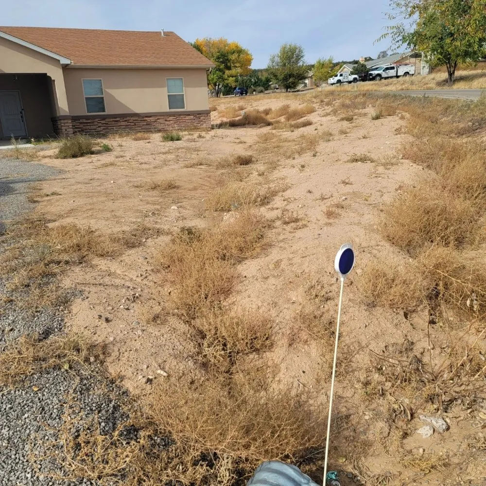 Professional outdoor landscaping experts serving Los Ranchos de Albuquerque, NM - Herrera's Above & Beyond Maintenance