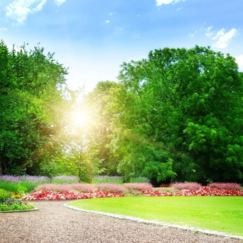 Trusted yard maintenance in Rowe, NM by Herrera's Landscaping & Waterfalls