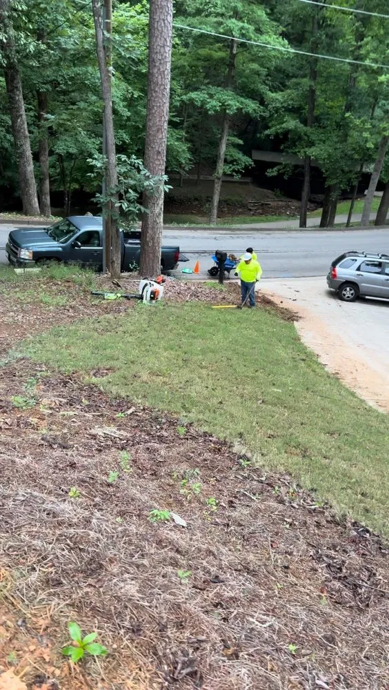 Expert yard cleanup service for year-round maintenance across Gainesville, GA - Herrera’s landscaping