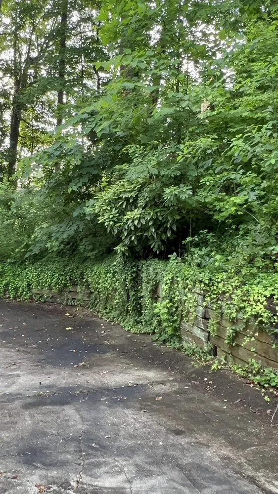 Trusted landscaping services for year-round maintenance in Gainesville, GA by Herrera’s landscaping