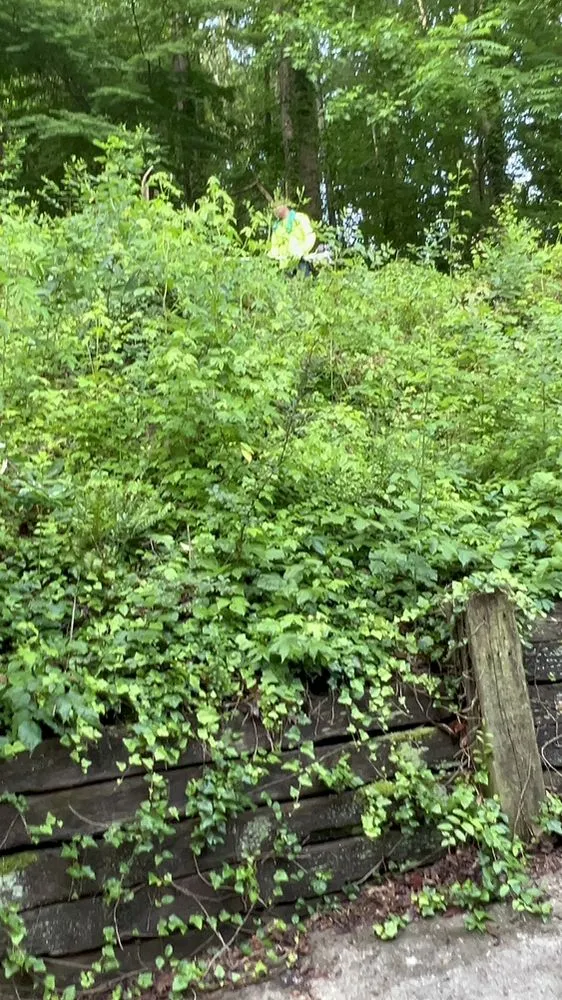 Professional landscaping services with custom design across Gainesville, GA - Herrera’s landscaping