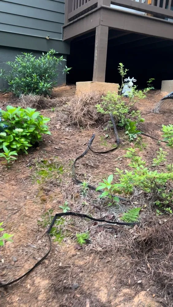 Trusted lawn care service experts serving Gainesville, GA - Herrera’s landscaping