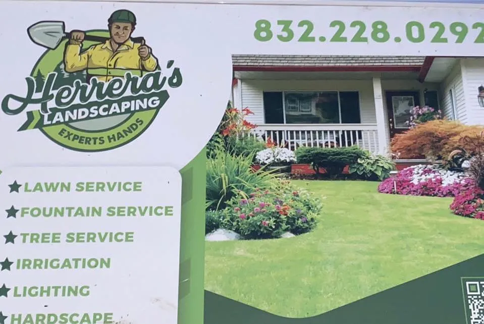 Trusted yard cleanup service for year-round maintenance across Houston, TX - Herrera’s Landscaping