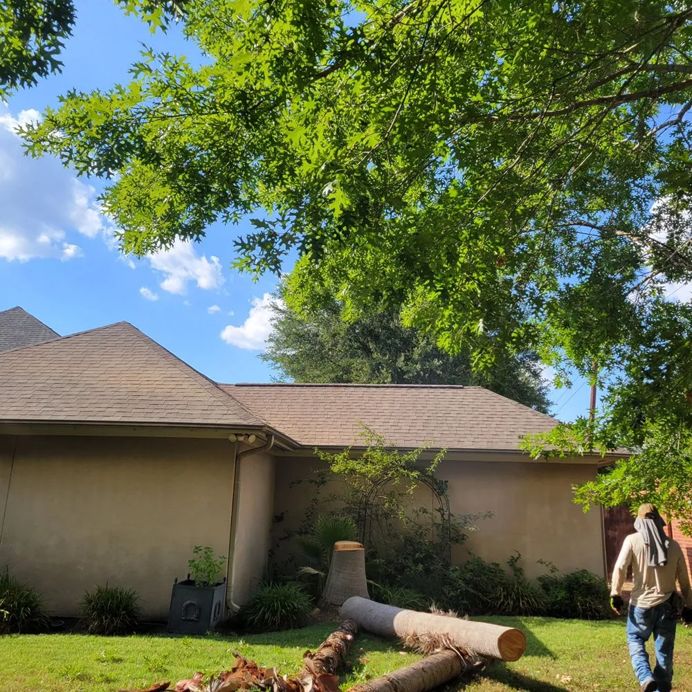 Top-rated garden landscaping in Houston, TX by Herrera’s Landscaping