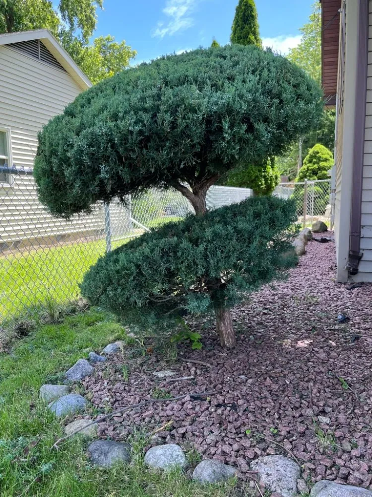 Professional outdoor landscaping near you across Round Lake Beach, IL - Herrera's Landscaping