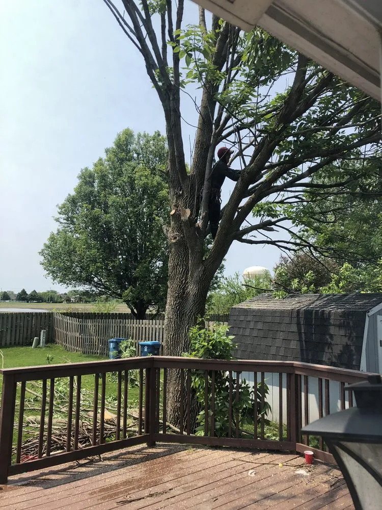 Expert outdoor landscaping near you in Aurora, IL by Herrera's Tree Services