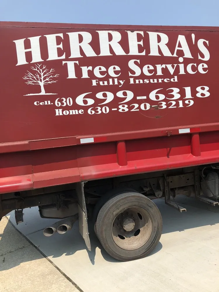 Top-rated lawn care service with custom design across Aurora, IL - Herrera's Tree Services