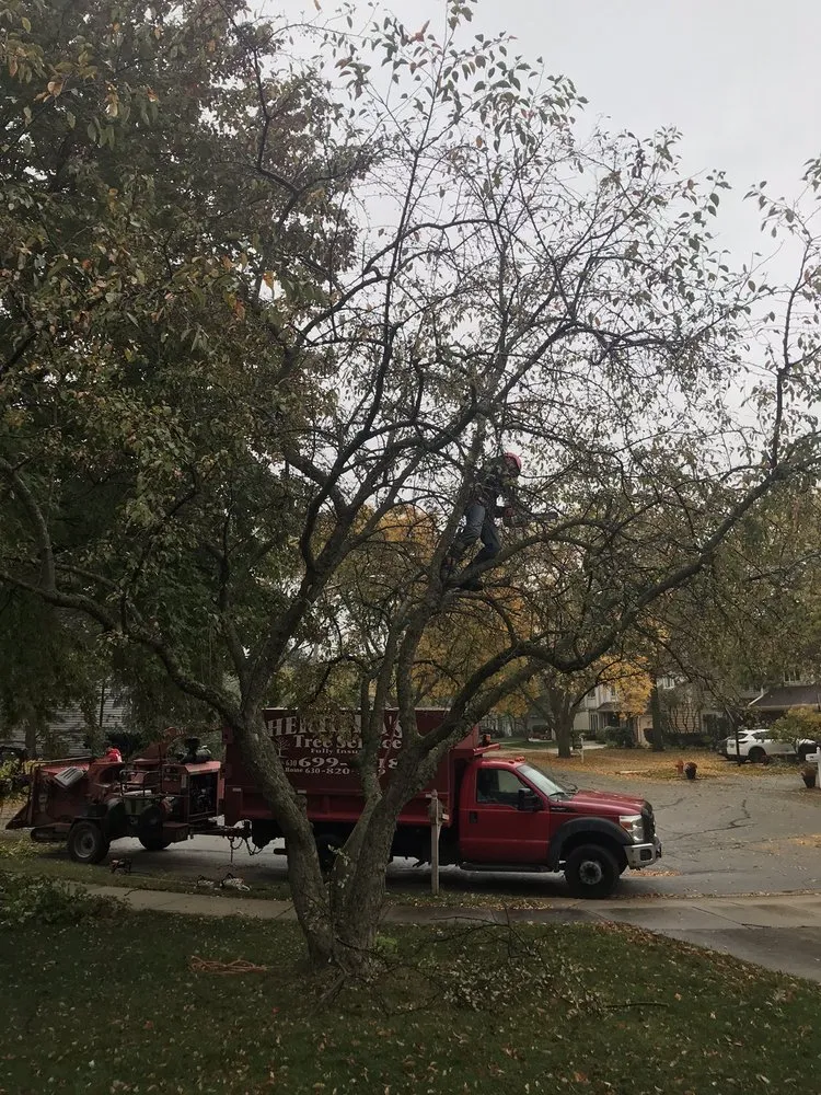 Reliable outdoor landscaping in Aurora, IL by Herrera's Tree Services