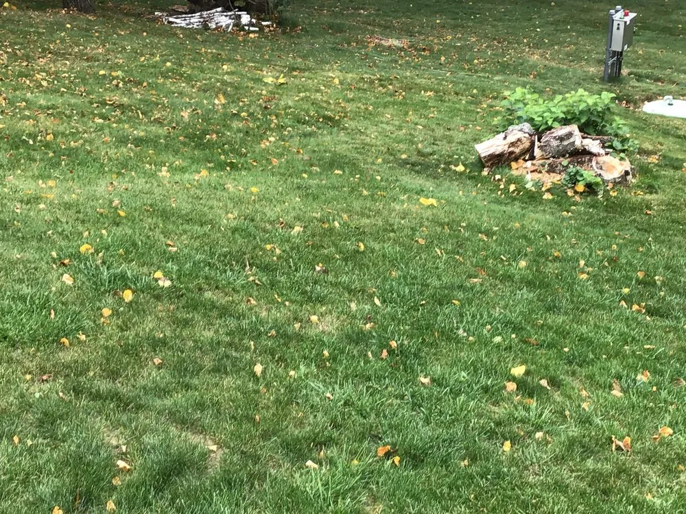 Custom lawn care service experts serving West Bend, WI - Herriges Lawn & Landscaping